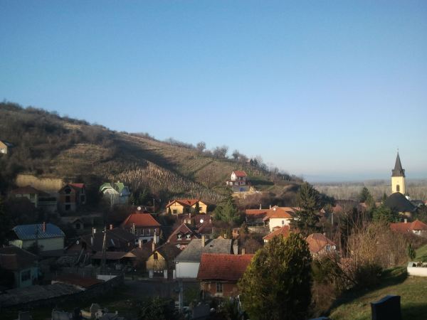 Tokaj Hillside with Vineyards, Rooftops, and a Steeple